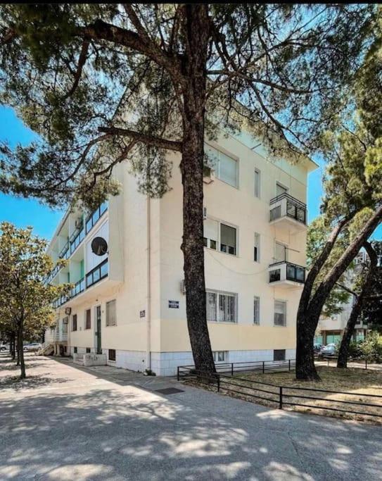 Apartment Music-Center, In The Center Of Podgorica Extérieur photo