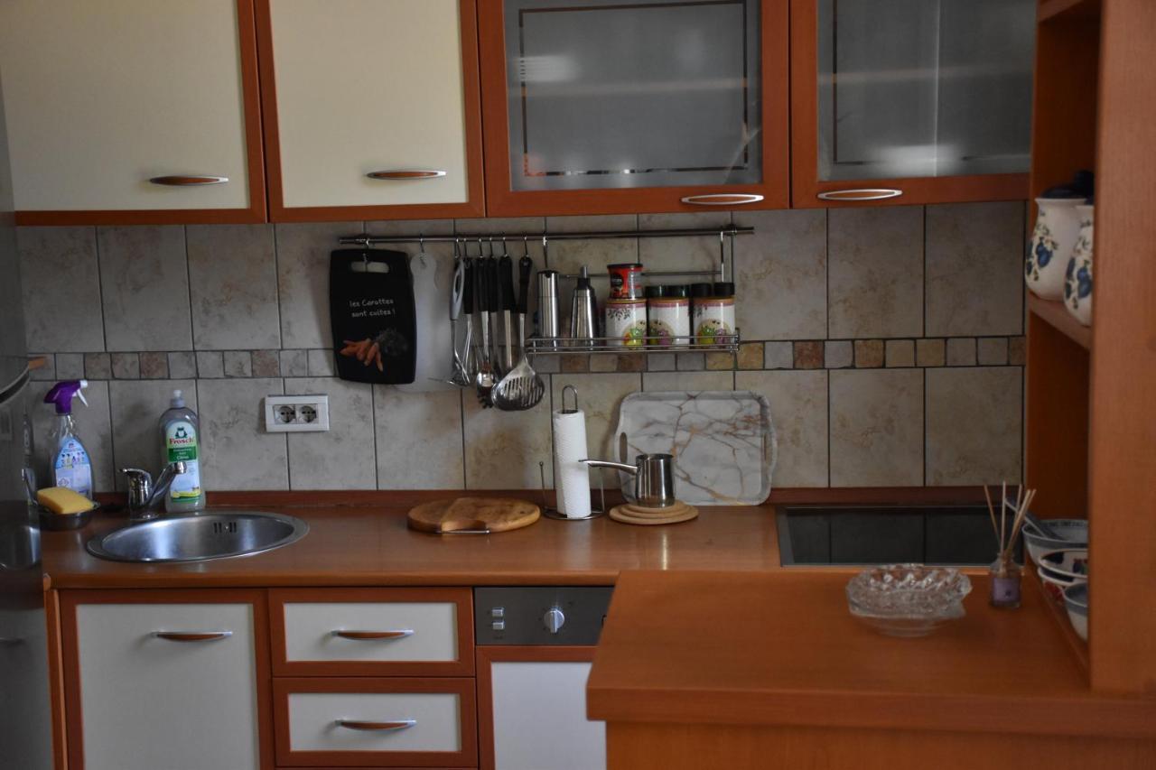 Apartment Music-Center, In The Center Of Podgorica Extérieur photo